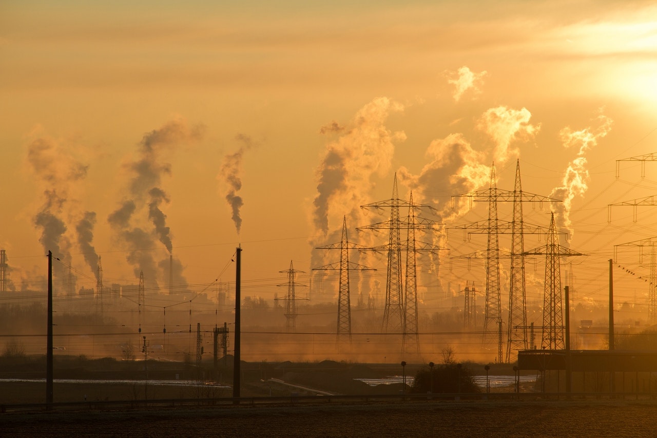 10 Deadly Effects of Air Pollution on Animals - Ecomasteryproject 10 Deadly Effects of Air Pollution on Animals - Ecomasteryproject