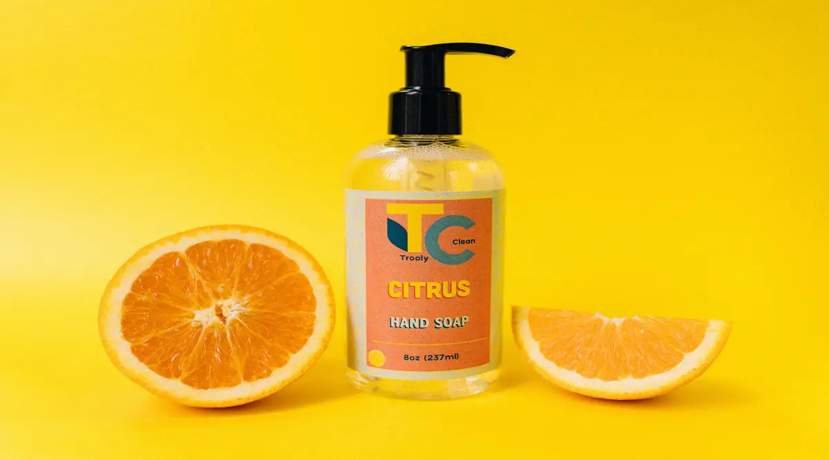 12 EcoFriendly Brands of Sustainable Hand Soap